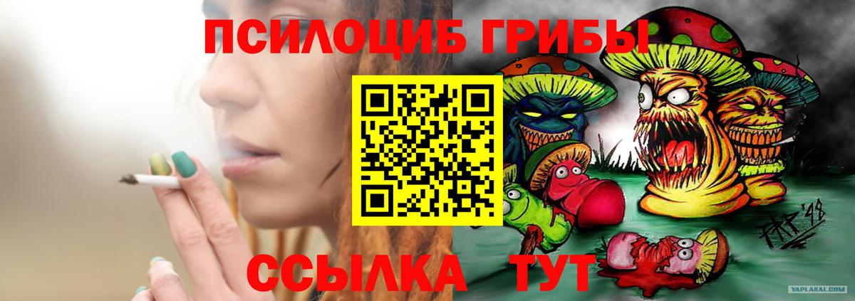 Минусинск  Псилоцибиновые грибы GOLDEN TEACHER  Вход с VPN  Псилоцибиновые грибы GOLDEN TEACHER 